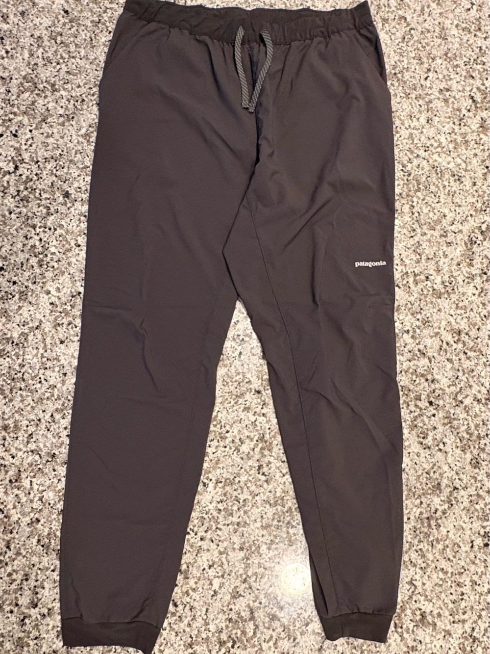 Patagonia Jogger Pants